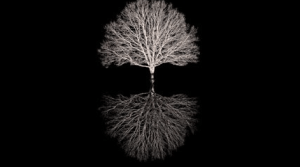 Screen Shot 2016-03-18 at 18.37.05